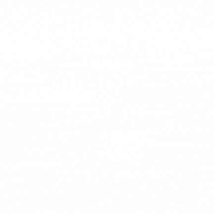 Black Car Seat Covers